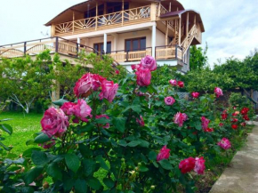 Guest House Pegas